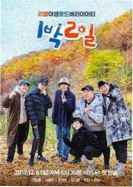 蜜芽视频推荐花儿与少年